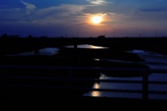 夏・多摩川2