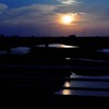 夏・多摩川2