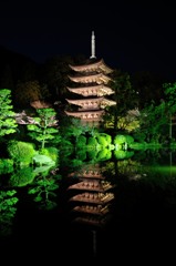 夜桜？
