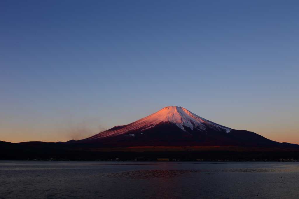 紅