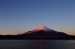 紅