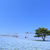青すぎ