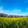 魚眼レンズ練習中　広景(1)