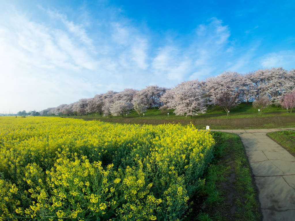 魚眼レンズ練習中　広景(2)