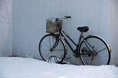 雪と自転車