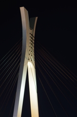 隅田川 中央大橋