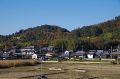 紅葉する里山がある家並み