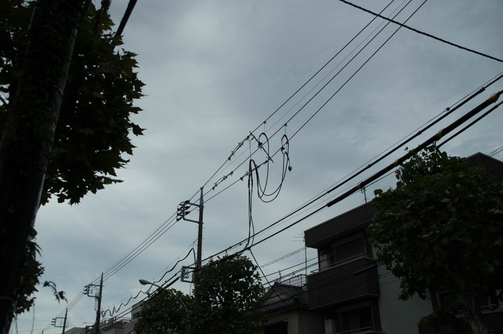 ちぎれた電線