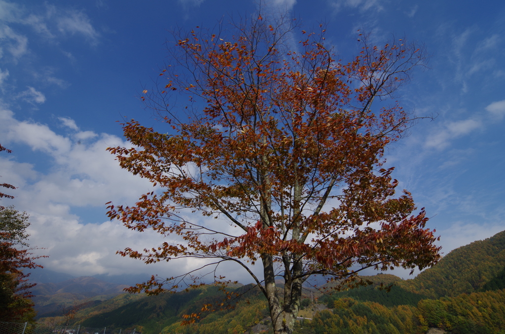 空と雲と風と紅葉