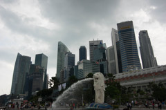 IMGP6792