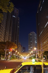 都庁通り