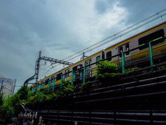 IMGP0450