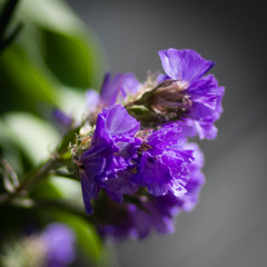 _IGP9792