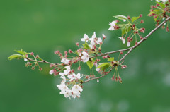 DSC05555