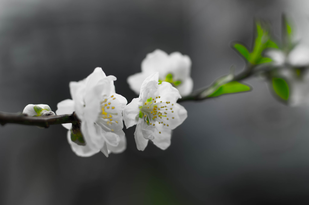 幻想