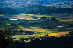 田畑のある風景