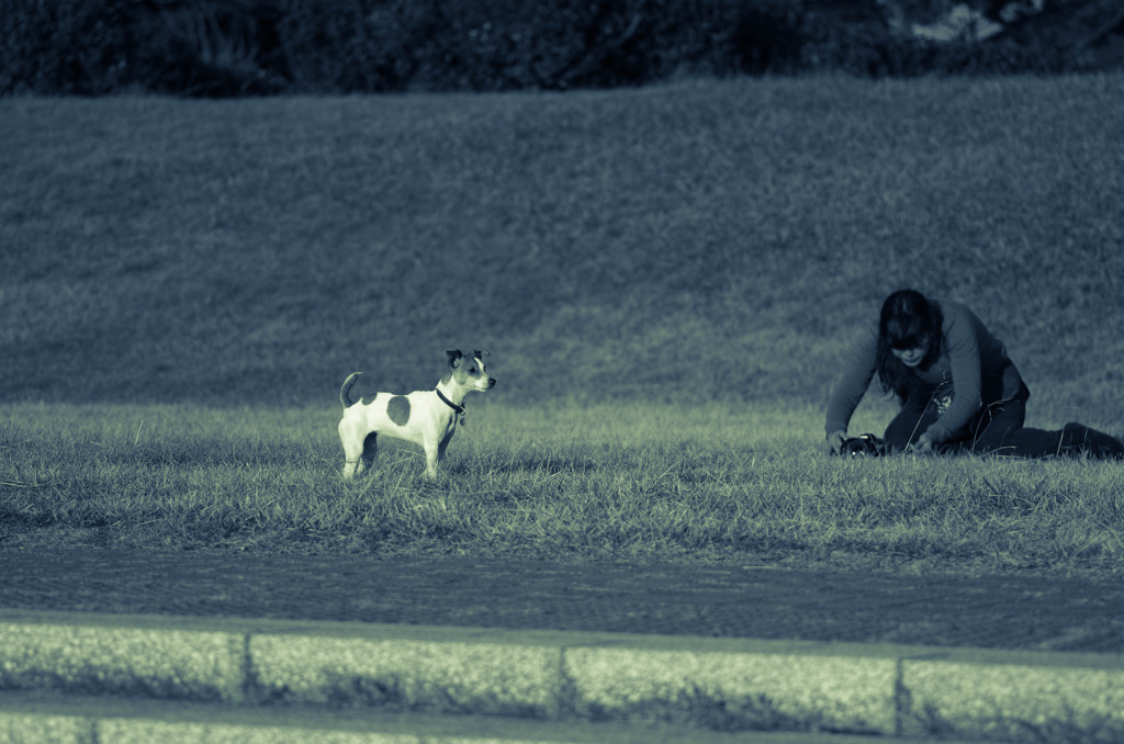 「動かないでっ」