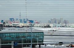 羽田空港国際線 雪