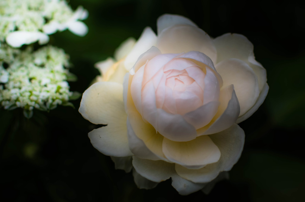 IMGP7489-2