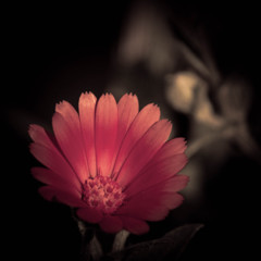 _IGP9695
