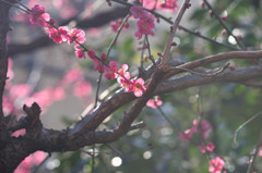 DSC05251