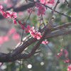 DSC05251