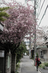 三軒茶屋