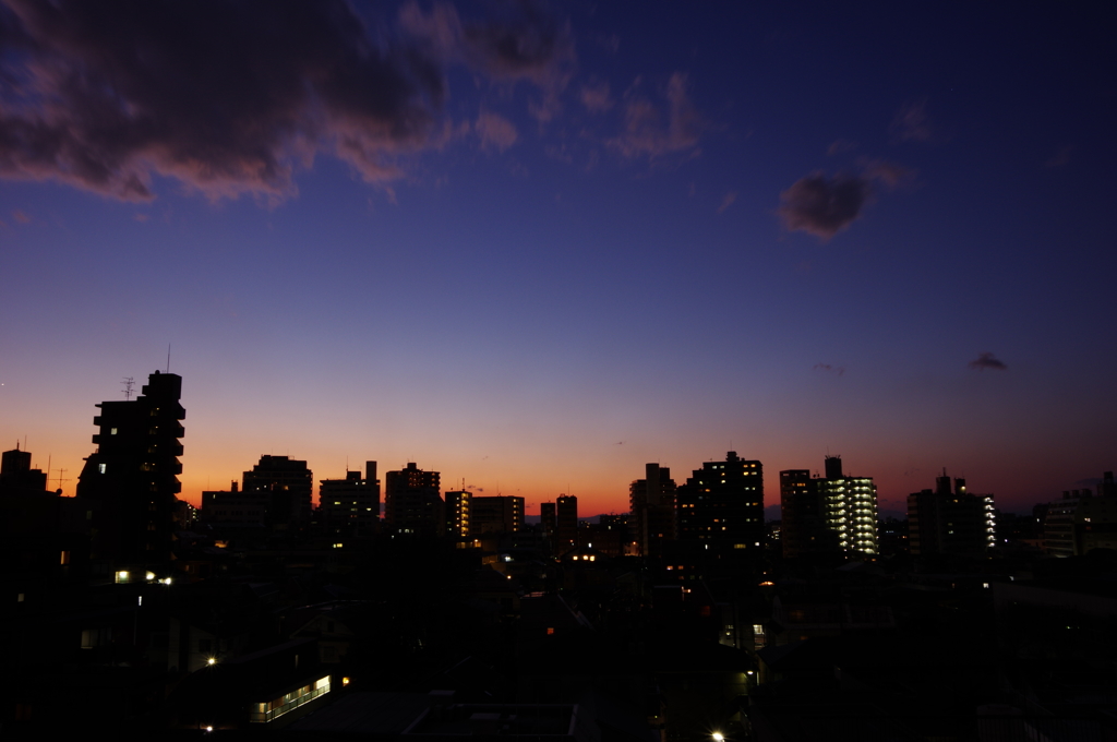 夜の世界