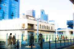 Shinjuku December 23  #6