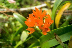 IMGP7790