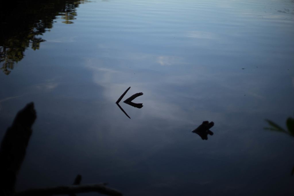 水と影
