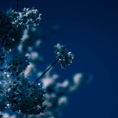 _IGP9869
