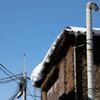 雪と蔦