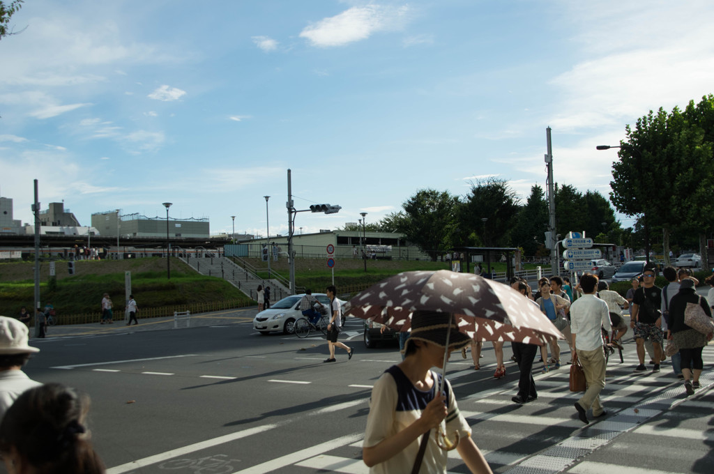 夏のひとこま