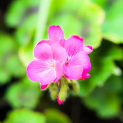 IMGP3848
