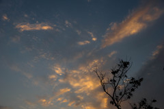 夕焼けの少し前