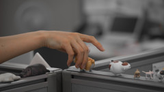 Hand