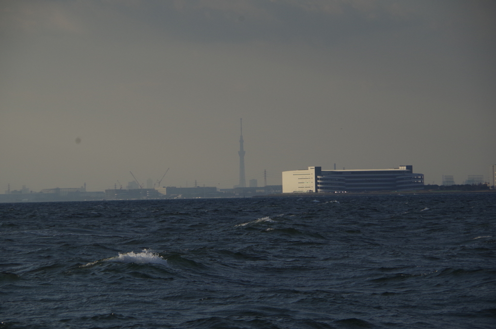 海の向こうのツリー