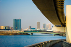 IMGP2879