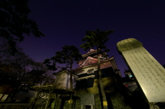 夜空と岡崎城