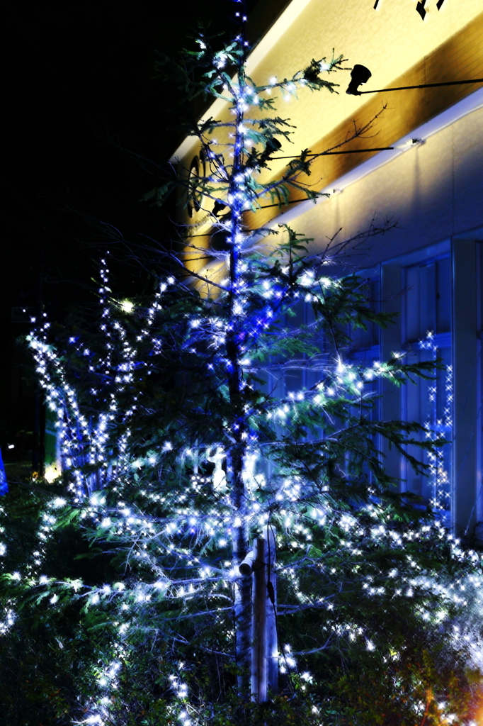 雨は夜更けすぎに～♪