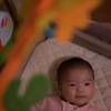 メリーに首ったけ