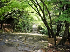 神へと続く道