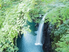 深緑の中の滝