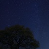 星に願いを・・・