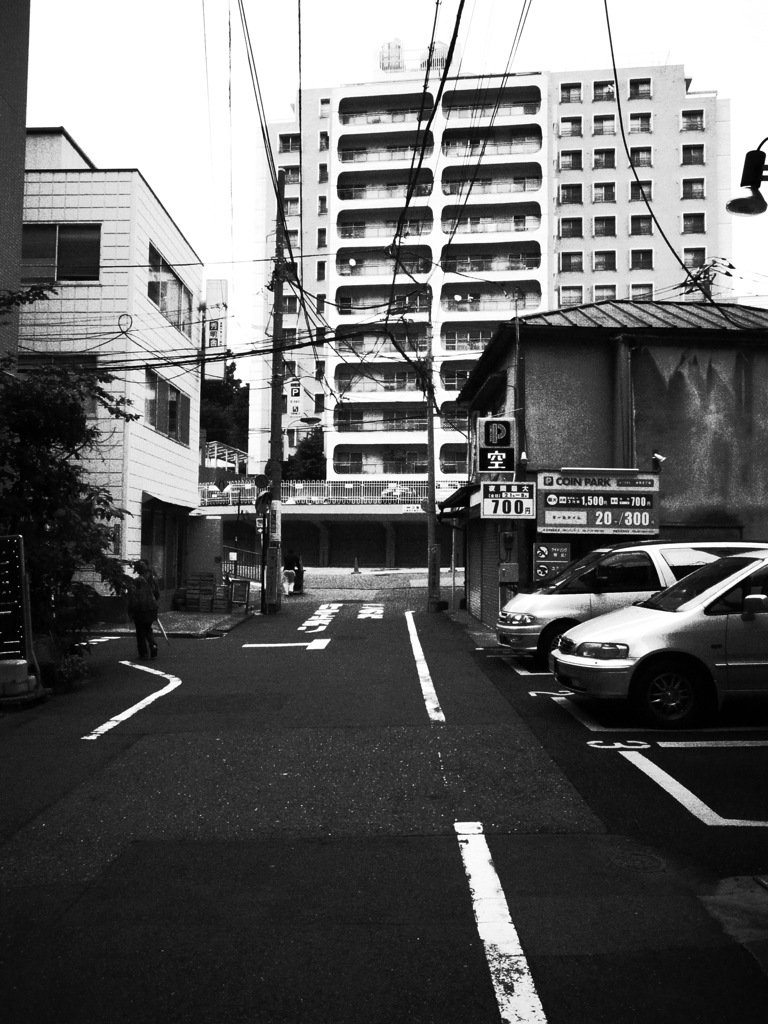 情感をそそるマンション