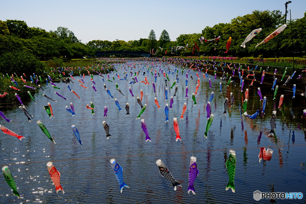 光る水面