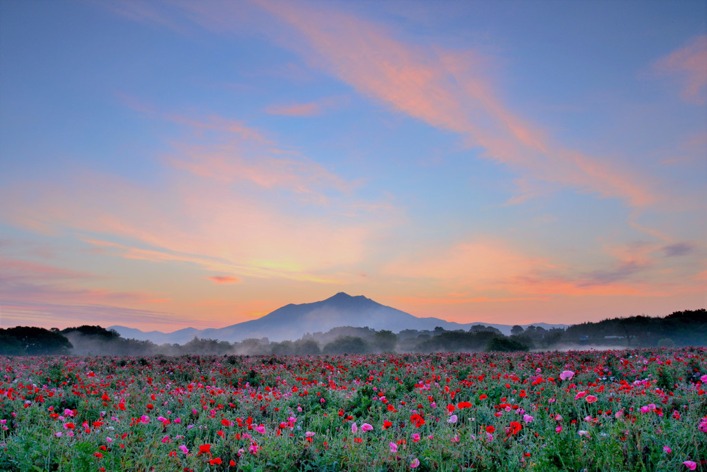朝の風景