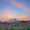 朝の風景