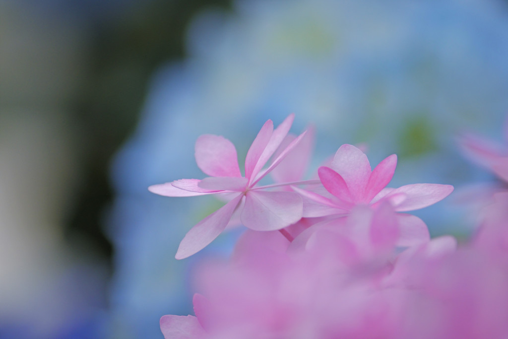 雨待つ